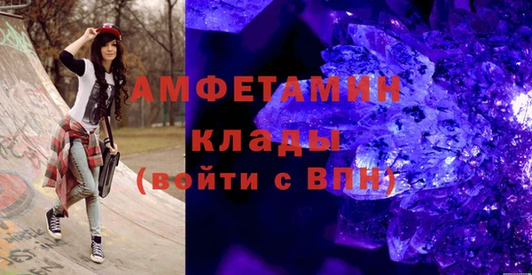 стаф Алзамай