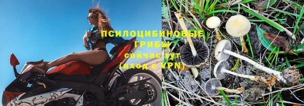 mdpv Алексин