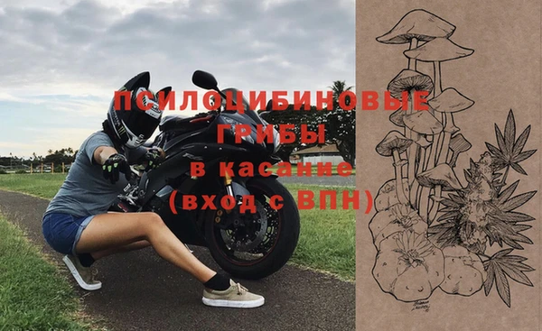 стаф Алзамай