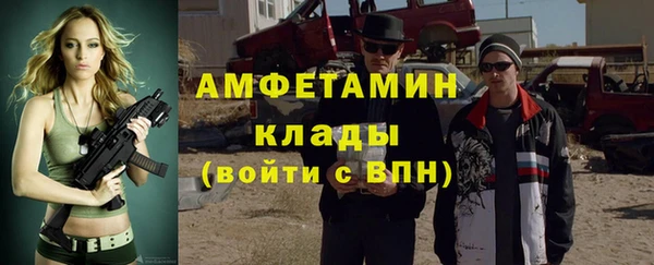 стаф Алзамай