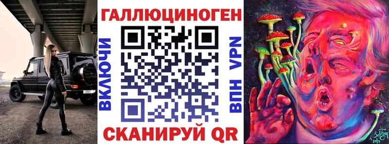 Псилоцибиновые грибы GOLDEN TEACHER  купить   Пласт 